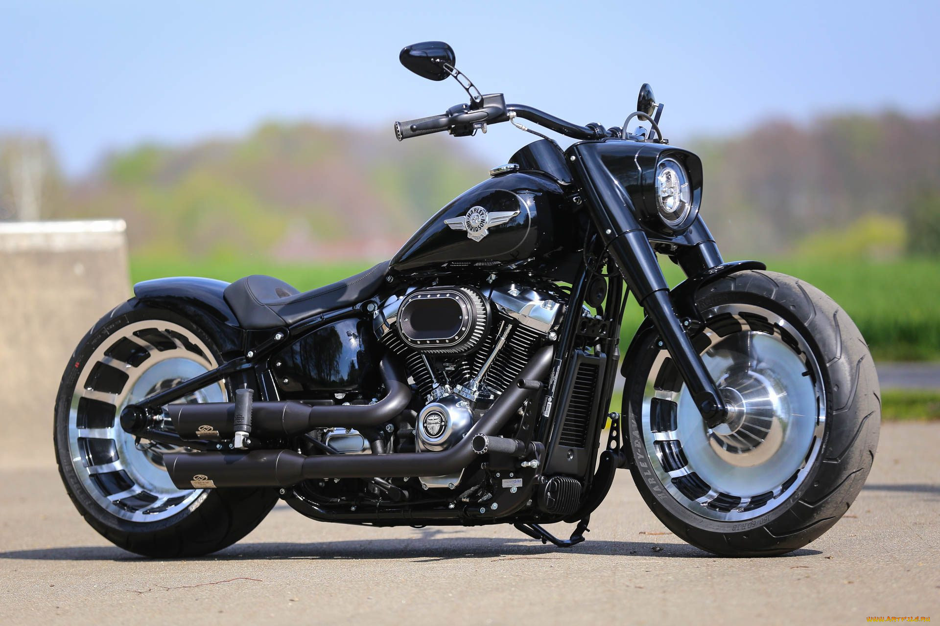 , , harley-davidson, , 